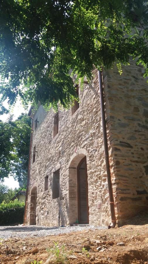 Dolce Vita In Tuscany Cottage Capannori Zewnętrze zdjęcie