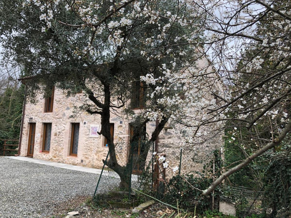 Dolce Vita In Tuscany Cottage Capannori Zewnętrze zdjęcie