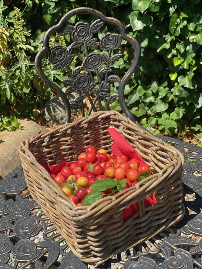Dolce Vita In Tuscany Cottage Capannori Zewnętrze zdjęcie