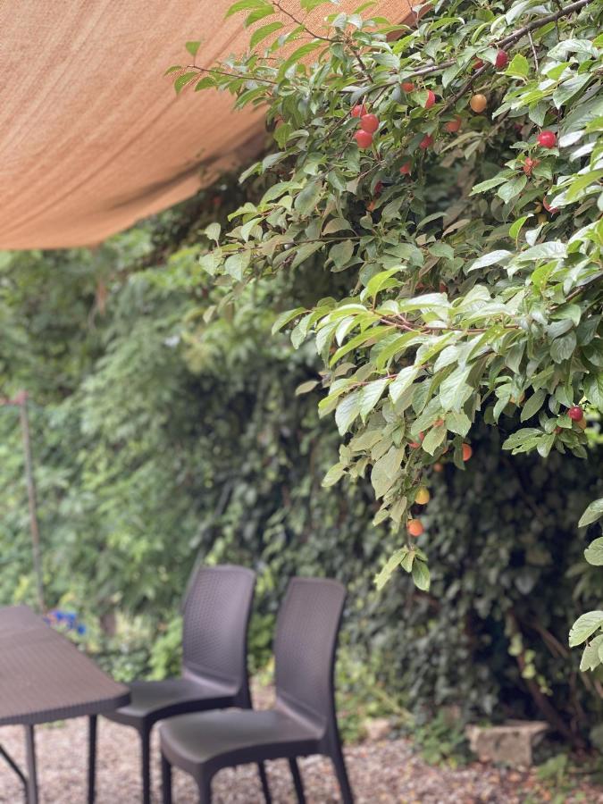 Dolce Vita In Tuscany Cottage Capannori Zewnętrze zdjęcie