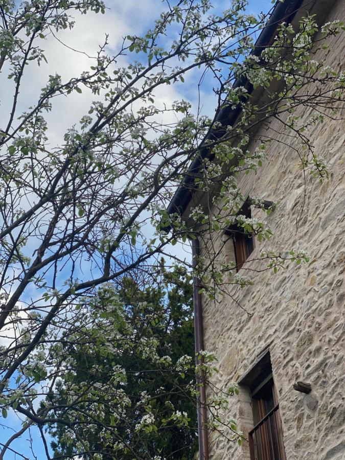 Dolce Vita In Tuscany Cottage Capannori Zewnętrze zdjęcie