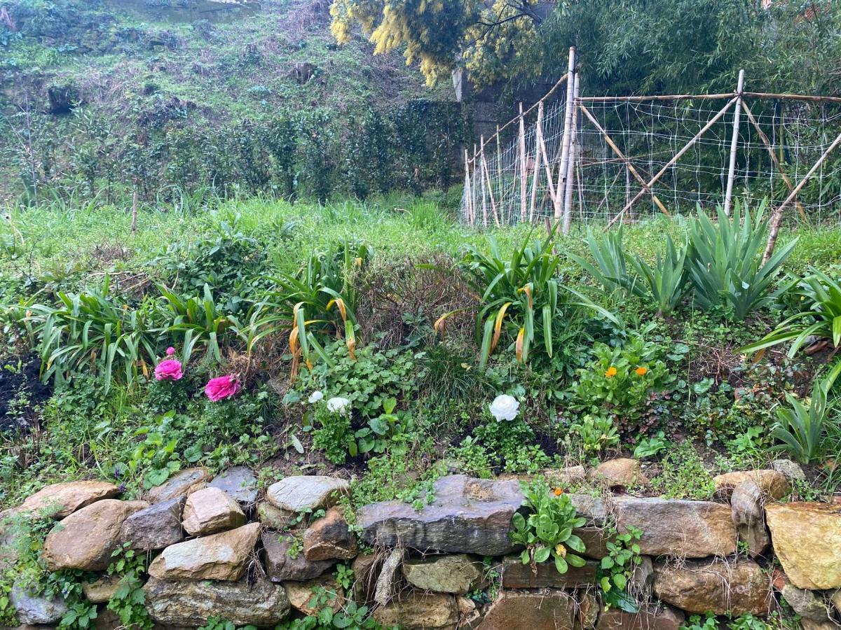 Dolce Vita In Tuscany Cottage Capannori Zewnętrze zdjęcie